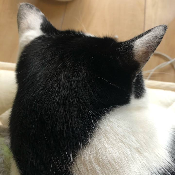 E72bd050 40d8 4d8d a87a d36ca4b56881 1614122626784