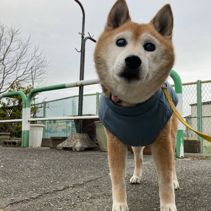 E72bd465 c6b1 48db a7cc 471280ff8543 1772408563460