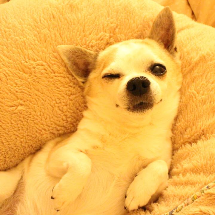 E72bdb81 83ab 4287 98ea 5e0a6f979c61 1508768138632