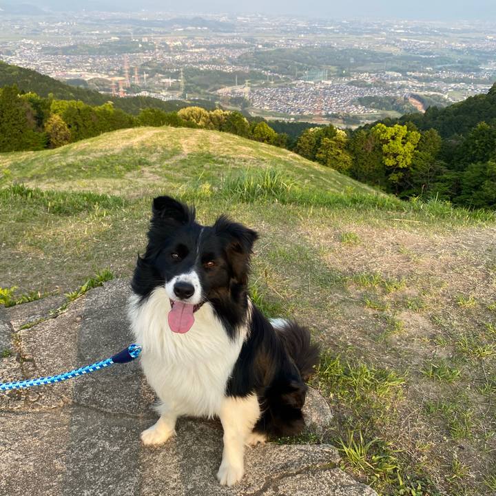 E72bde29 606e 4566 b715 edb881f42625 1651484607284