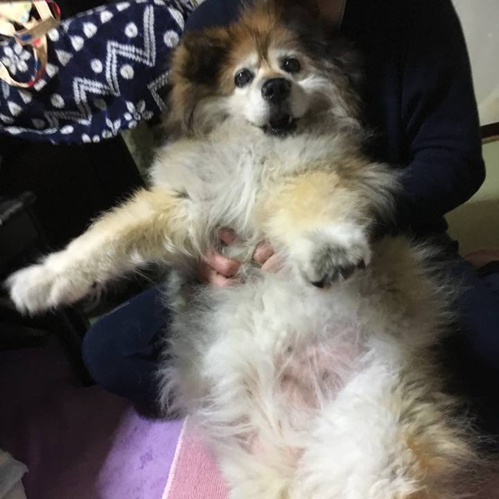 E72bec79 12ef 4948 9d6c 9eb7d2617f95 1640440140452