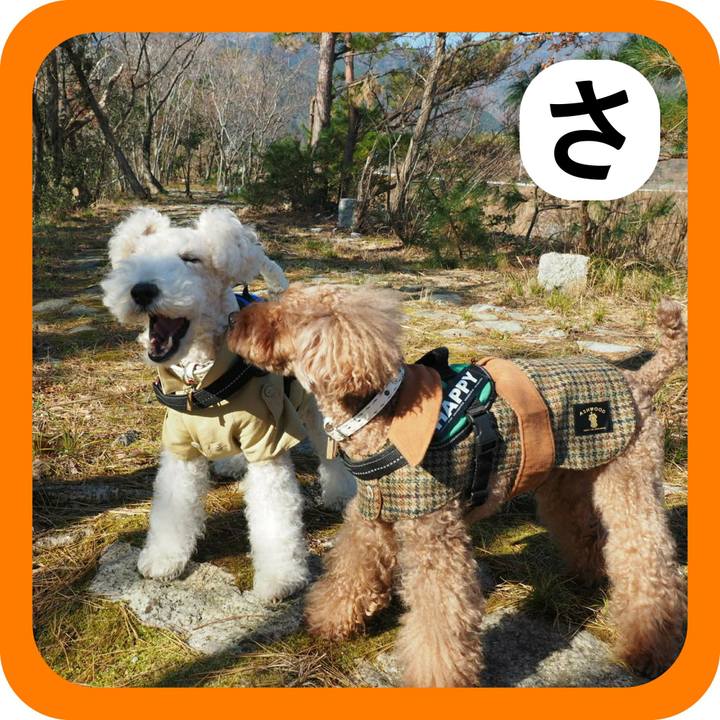 E72c229b 268f 4c78 86a5 e76e61d2a4e7 1514814509631