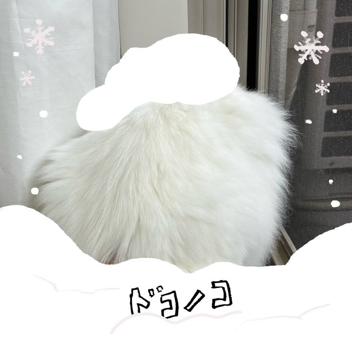 E72c4121 dfcd 4d06 819a f4233b8ee5d2 1771904502337