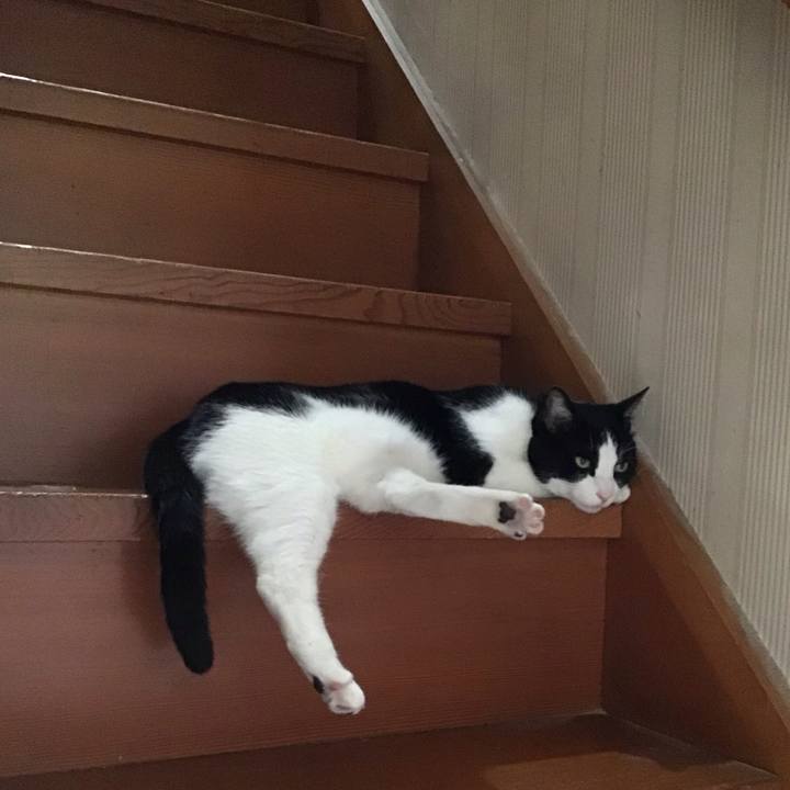 E72c54cb a10a 47c6 941d 38e194b1bdf0 1747819706506