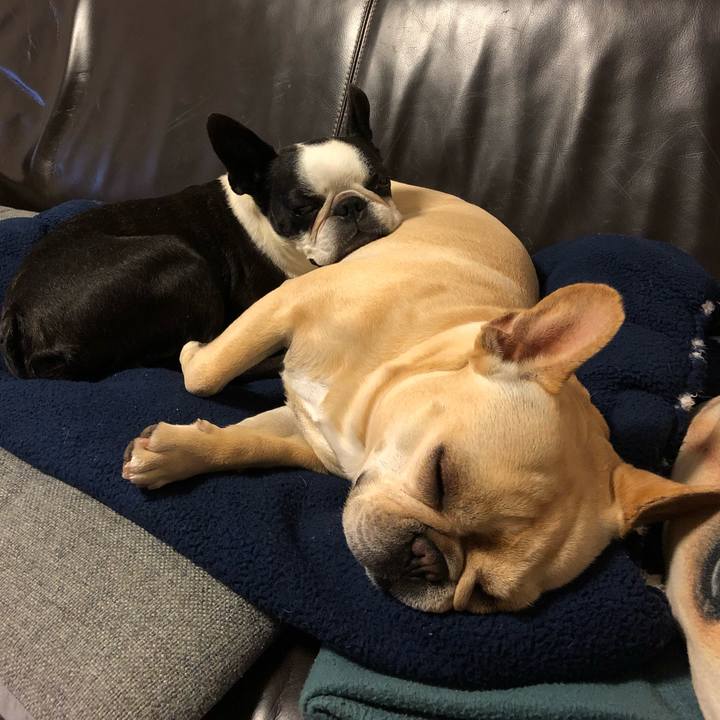 E72c6062 a604 4016 89e1 c72d9c8f8f8e 1559471696077