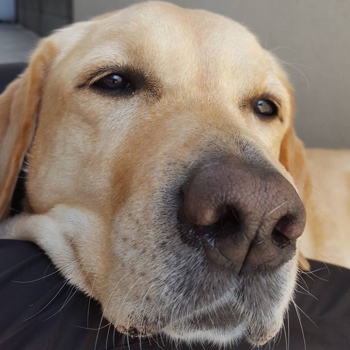 E72c761a cb91 4387 b566 79144940931d 1551155020900