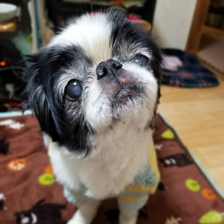 E72c8687 5c05 480e 8ba9 7e87cdb197c3 1586432820183