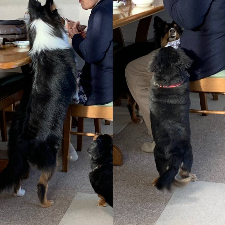 E72c8dc7 8990 4073 9b1c d5d6c6e90dc3 1546471313341