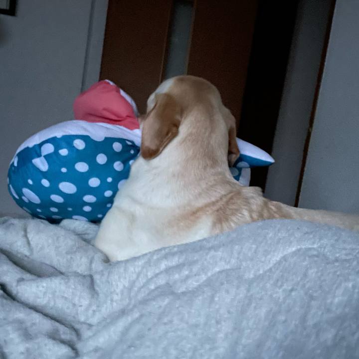 E72caa70 3048 43a8 92a1 3419c303594a 1660691282553