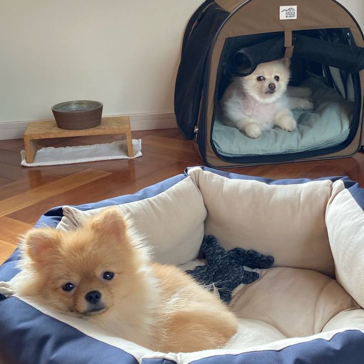 E72cb120 c558 4691 a4f0 81eda12b1775 1663222517040