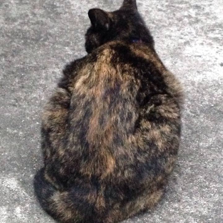 E72ce01a 66be 4724 8dfb cb800a58b15e 1507711258226