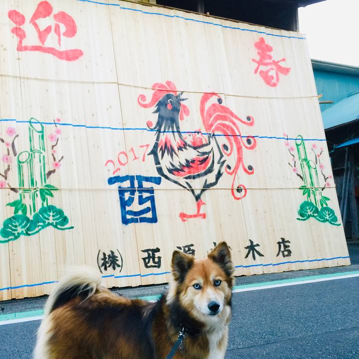 E72d1ff8 bcc3 485a 843e e40fc0f072ca 1577881274772