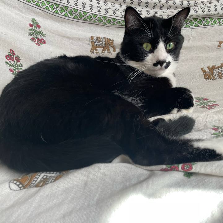 E72d5076 bd0d 4aa7 b379 855812ab70f3 1675212590405