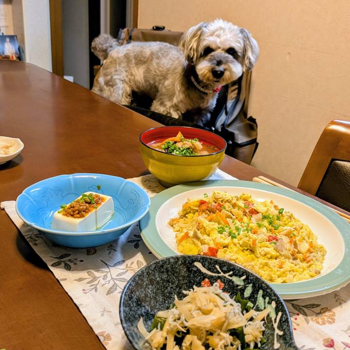 E72d52e3 cce7 455e ae11 fd89ec1744d9 1761056112677