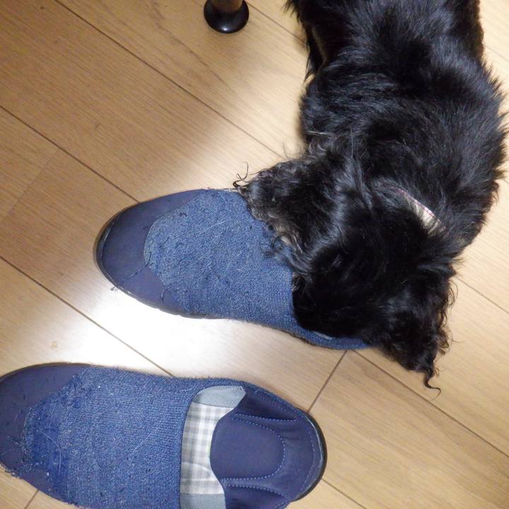 E72d6e93 53d2 4ba0 b4a6 5392f958afe4 1632867616659