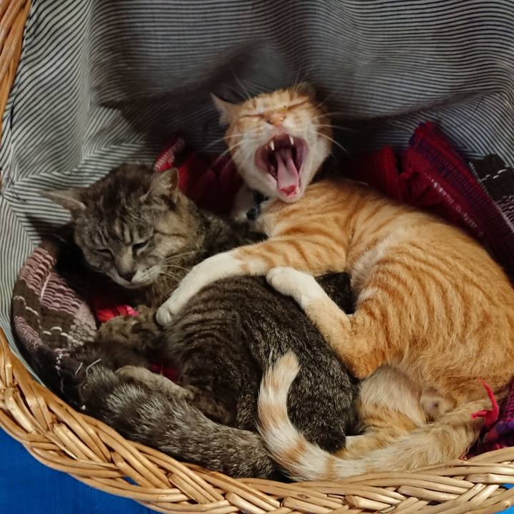 E72d9352 4904 495d b3a5 584478e1a204 1562484169642