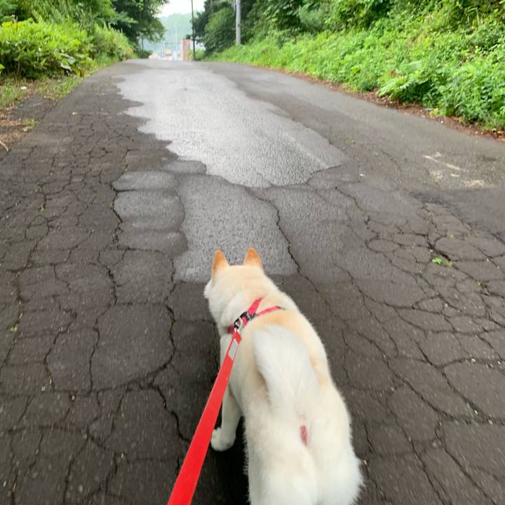 E72da1f2 4237 4c59 947c 962e8542a71b 1564618305927