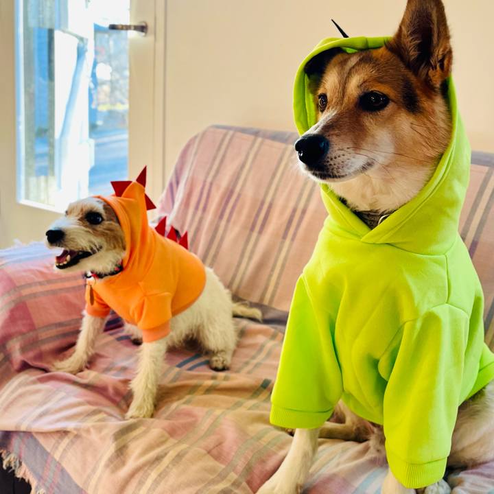 E72db40a 7c17 4343 8fcb f41dc3da568a 1765097962896