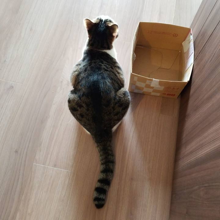 E72dd3c0 508b 44ea 971b 4831acbb0e1b 1567896209586