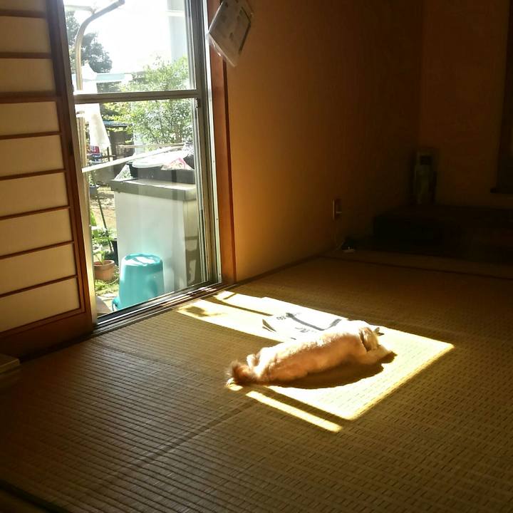 E72e00f8 0abd 4ec4 b1ee c559466816df 1508762151397