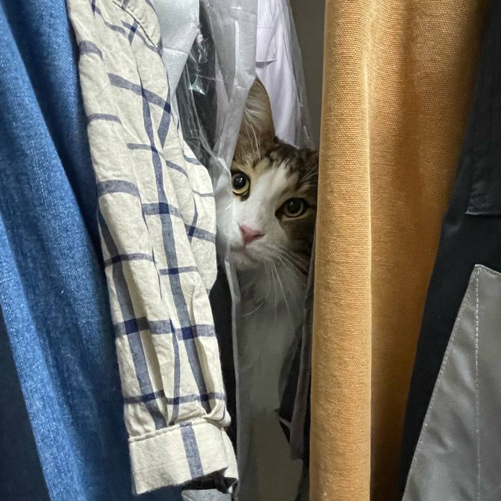 E72e5230 1e76 4eb9 932a cd348c1c042c 1661343143987