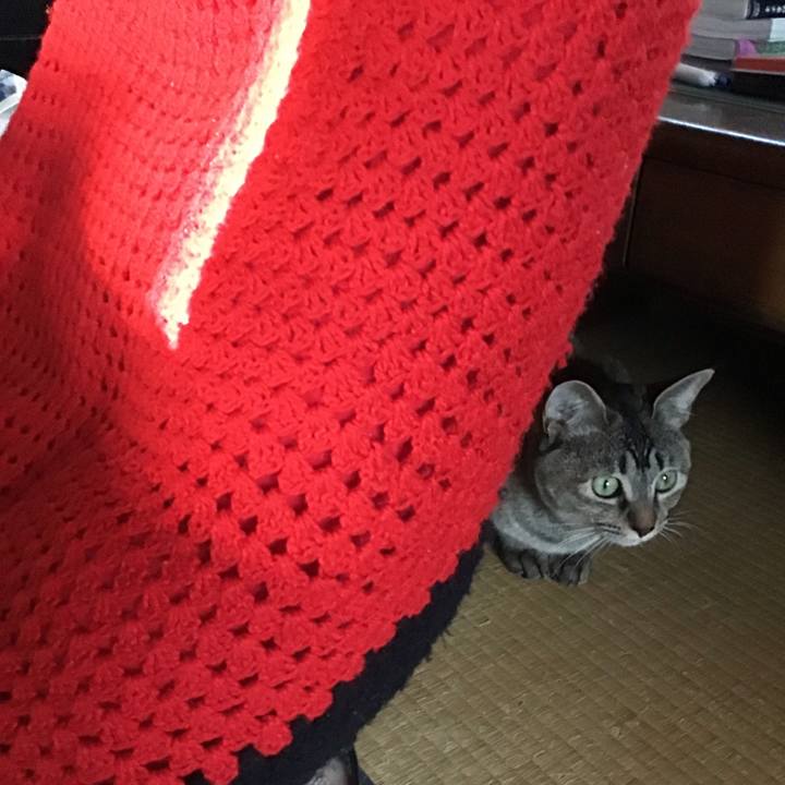 E72e6d5e e7ca 4d1f 9302 ebaa87b01151 1582799600474