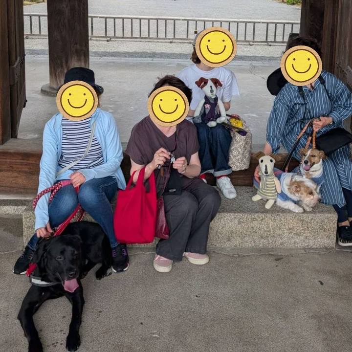 E72e6e91 53c5 4abb 9e2c 64ba98ad6011 1747571702824