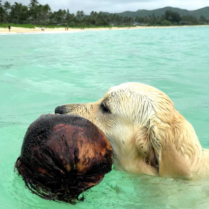 E72ecbd2 7d21 4cdd bb05 ac9832a4bd0d 1522552052606