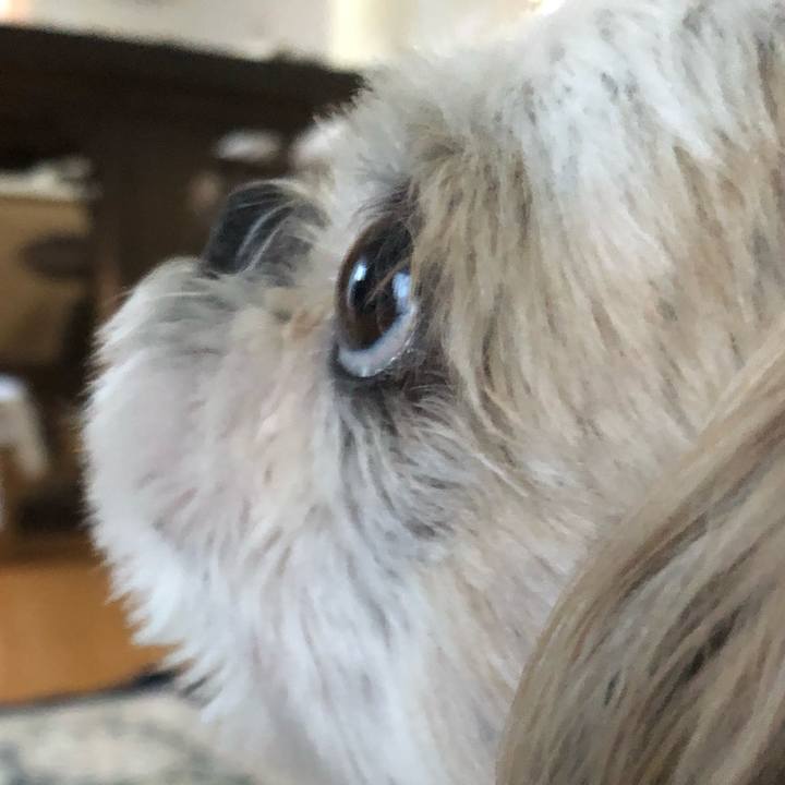 E72ed058 b390 4f01 9261 9bdb950a8800 1558140736702