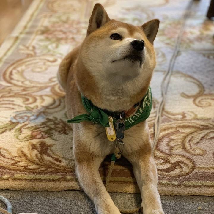 E72ed731 8d68 4030 8535 390d55e20e7f 1555474213212