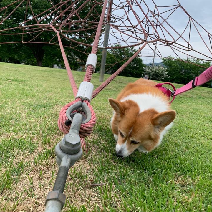 E72eea1f cae1 4464 a28c aca47685260e 1685264879537