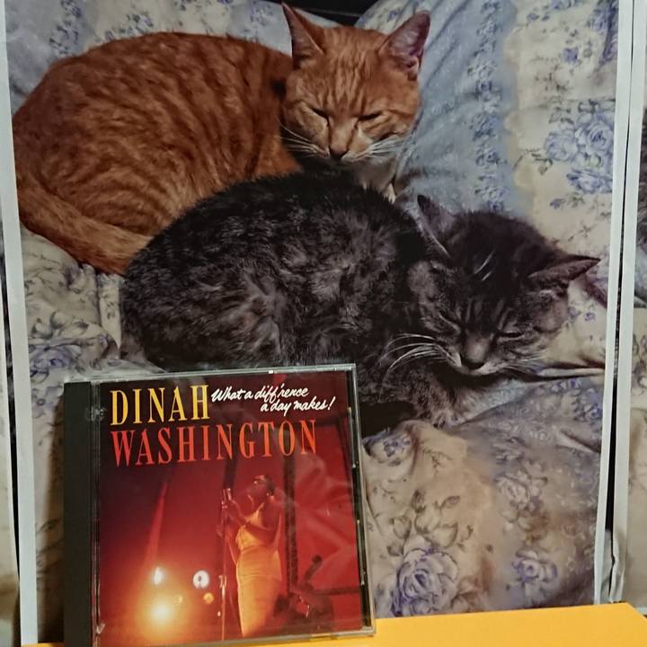 E72ef193 92da 4df5 903b 1443f44282a9 1615986073056