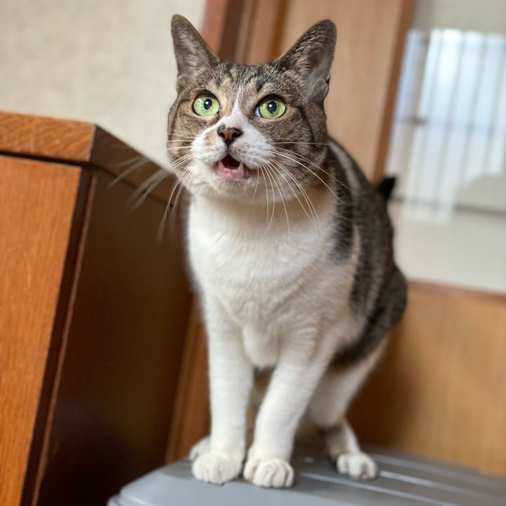 E72f2b99 220e 4bb0 bc3d 419b1a5a778e 1644114772281