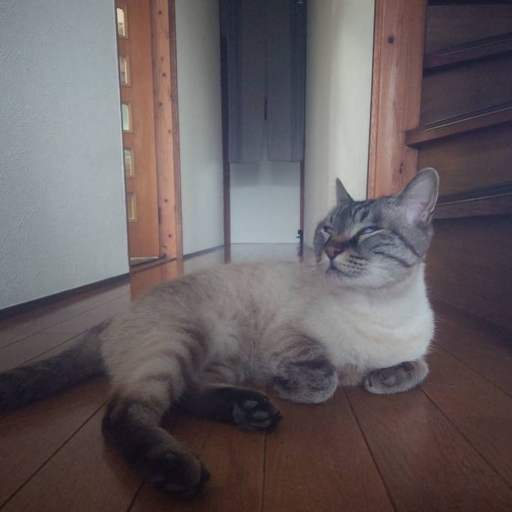 E72f477c 888a 4edd 97b9 c72ffd67e642 1716454476464