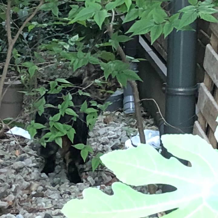 E72f53d2 6647 4d5c 8bbf 187a51a57036 1525314935862