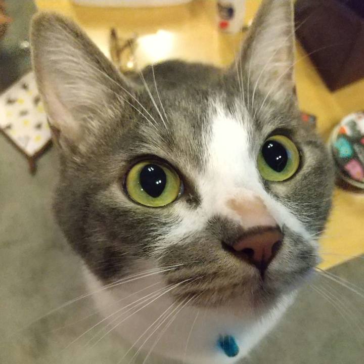 E72f6332 9661 40bf 84bb 9acfc6eed79a 1623580497044