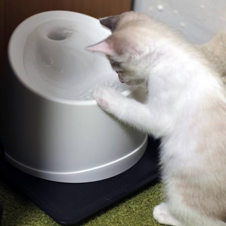 E72f8038 109e 4806 b2ef b464dee9088d 1598441583793