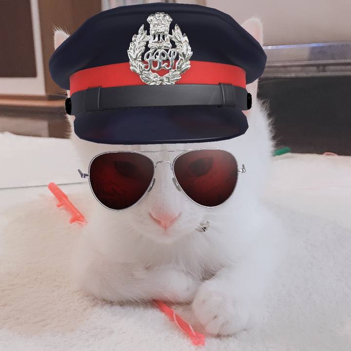 E72f9afa 5a7a 4127 8a7b 6e56662f0be3 1566652595938