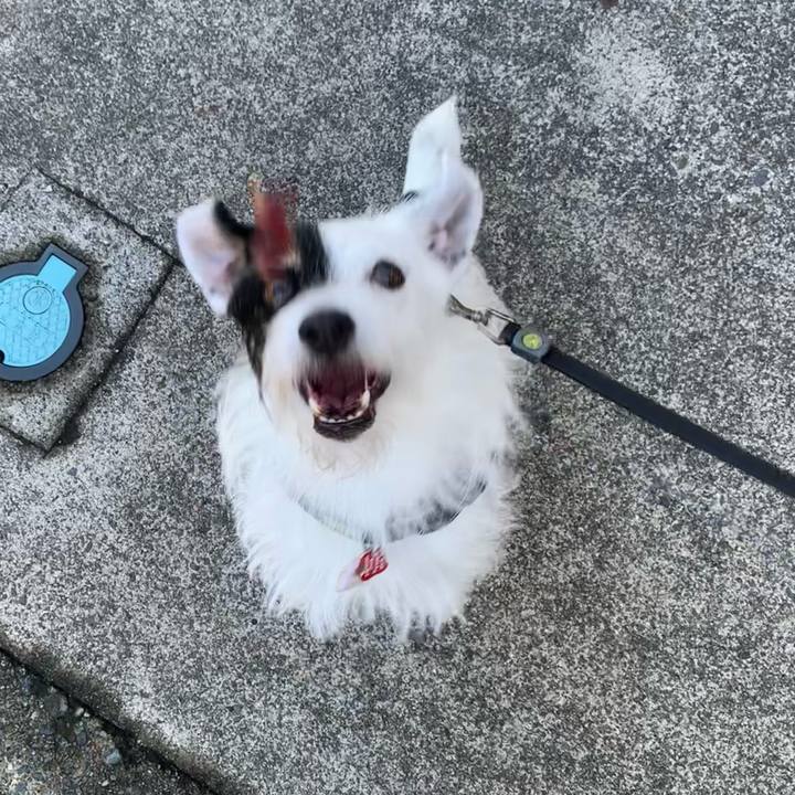 E72fbdd7 7d4c 44a0 b368 f3ab44bfe9fa 1693867805546