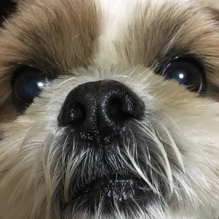 E72fc161 7a3c 4259 b271 5cf05dac9311 1523668123973