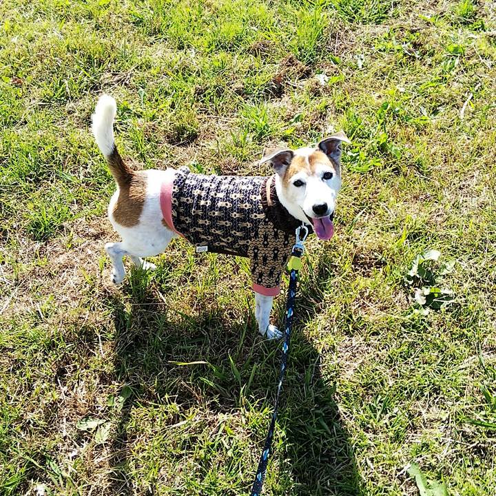 E72fc2a0 85b8 4609 8be5 12d225f1f6d3 1541251352408