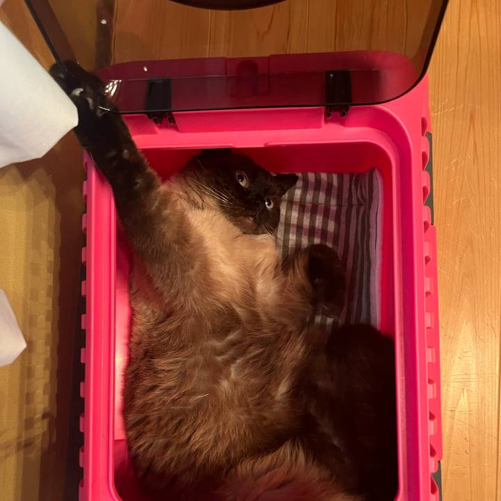 E72fcf73 274a 44e1 a159 8ed4d5b45e18 1721264617019