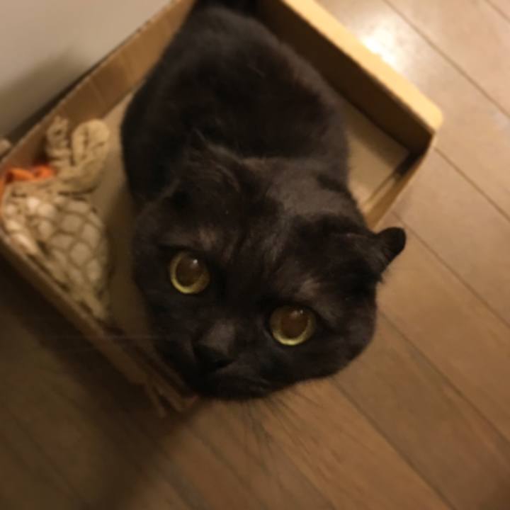 E72fd7ea 21bc 4e95 a20a 950c6a25bf51 1528634536641