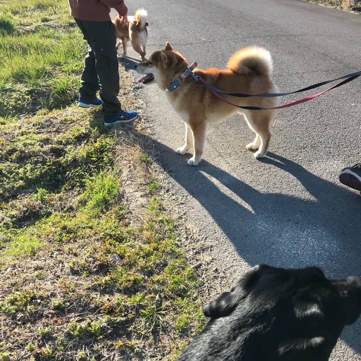 E72ffd7d 2833 405b a395 749f45dc9d54 1520717496013