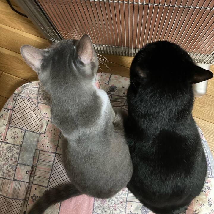 E7301db7 9fa0 4fcb 8e27 fd9628becd00 1665134086329