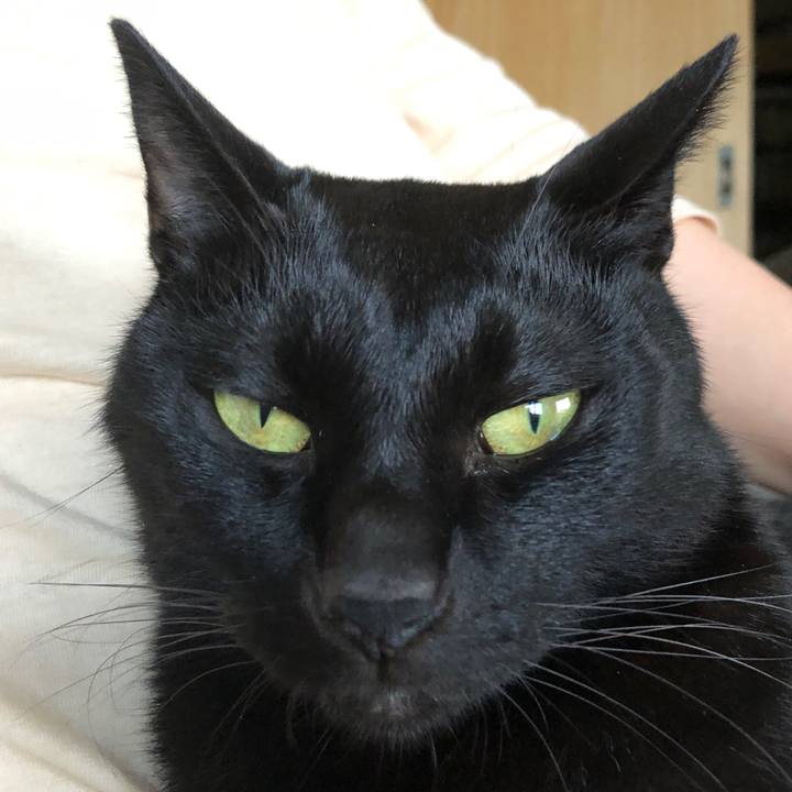 E73035c3 e85b 4972 89cd 637b97065c99 1697268981988