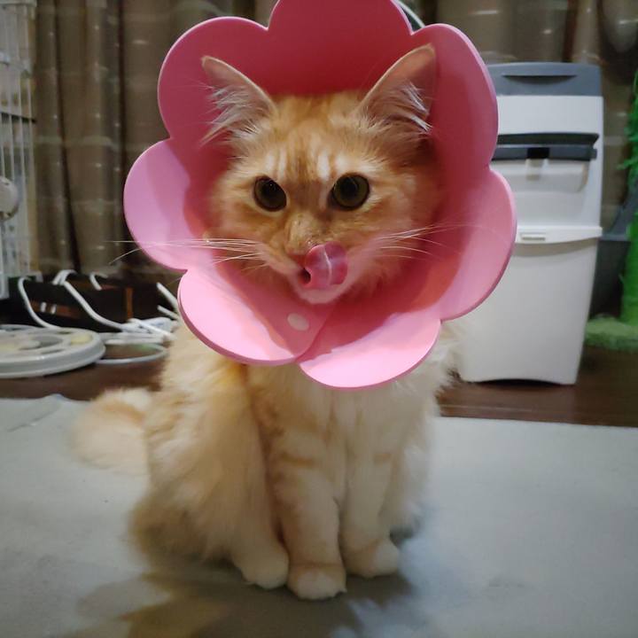 E73056ca 1491 4f07 9d52 f85f83c4e9c7 1688478157190