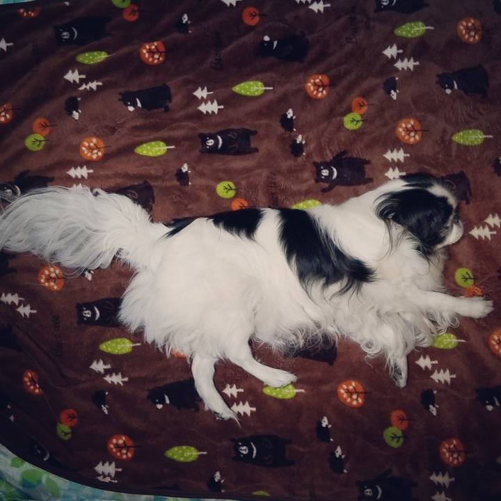 E730b06d 393a 4530 823e 105a826de59d 1543230264726