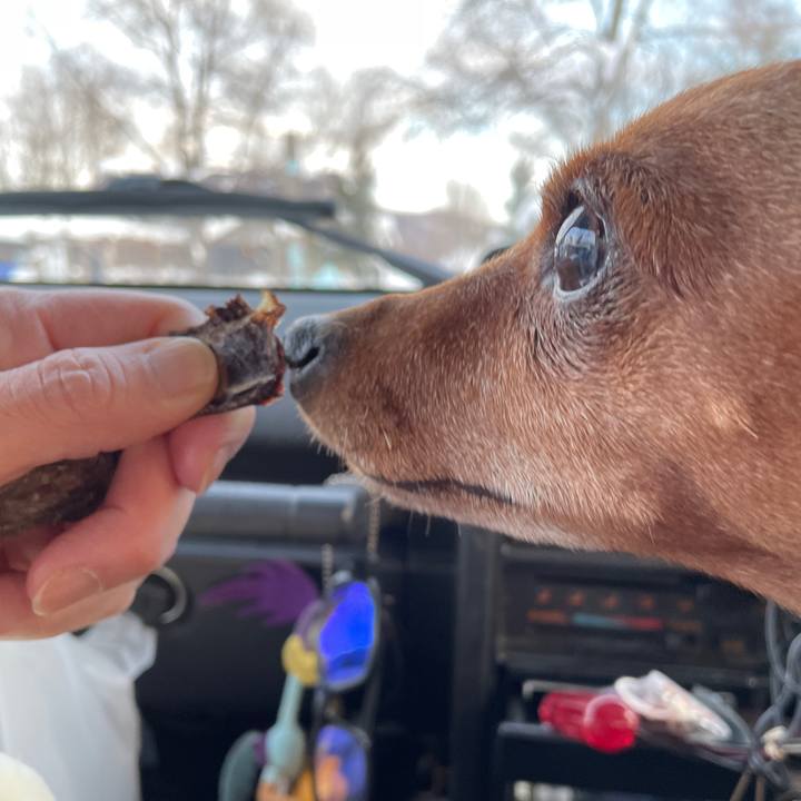 E730cc0b bbf0 4f2c 9f8b 048e7ac76ce5 1706532426999