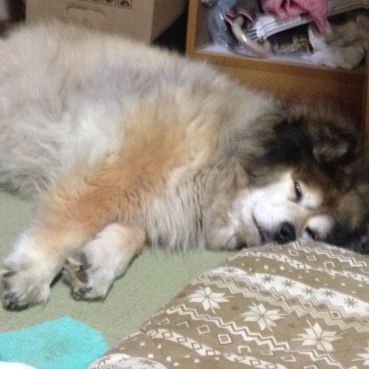 E730dff3 5d4d 4f74 917f a9a0a917e087 1548420085340